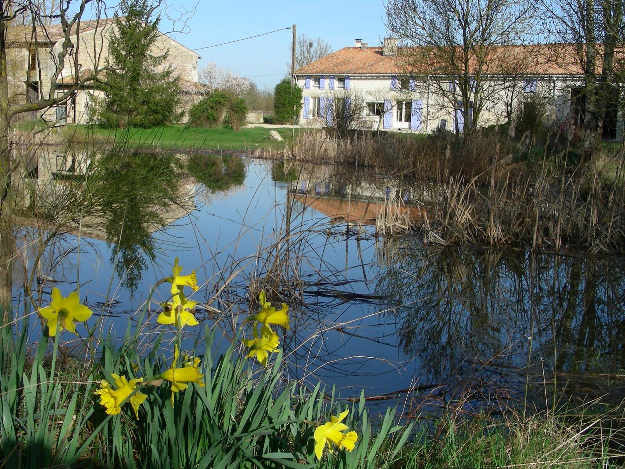 Chambres D'Hotes Entre Niort Et Marais Poitevin Bessines Bagian luar foto
